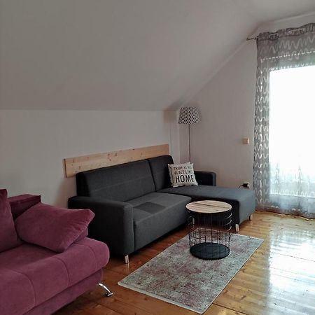 Apartments Irena 克拉尼斯卡戈拉 外观 照片