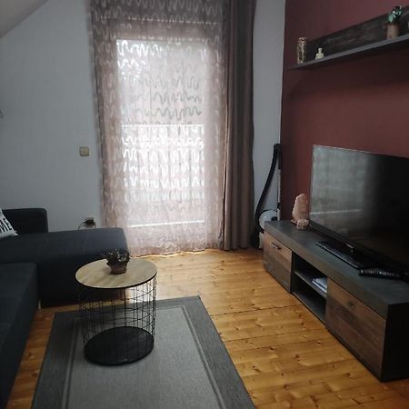 Apartments Irena 克拉尼斯卡戈拉 外观 照片