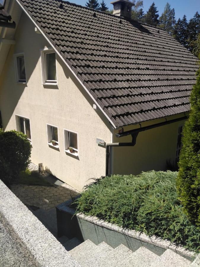 Apartments Irena 克拉尼斯卡戈拉 外观 照片