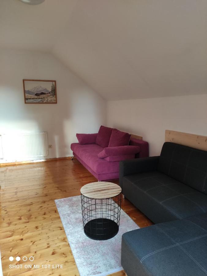 Apartments Irena 克拉尼斯卡戈拉 外观 照片
