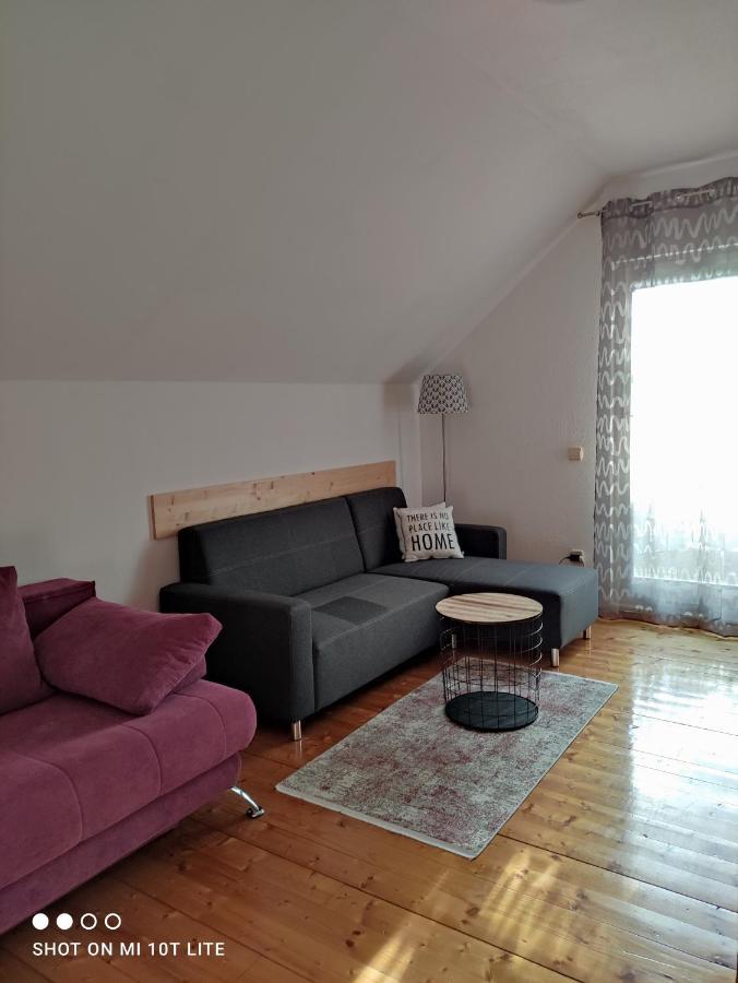Apartments Irena 克拉尼斯卡戈拉 外观 照片