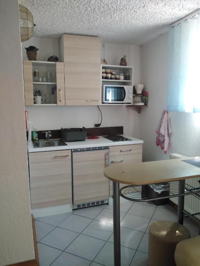 Apartments Irena 克拉尼斯卡戈拉 外观 照片