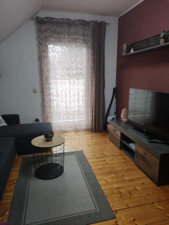 Apartments Irena 克拉尼斯卡戈拉 外观 照片